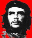La vida en rojo del Che